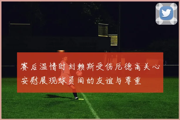 赛后温情时刻赖斯受伤厄德高关心安慰展现球员间的友谊与尊重