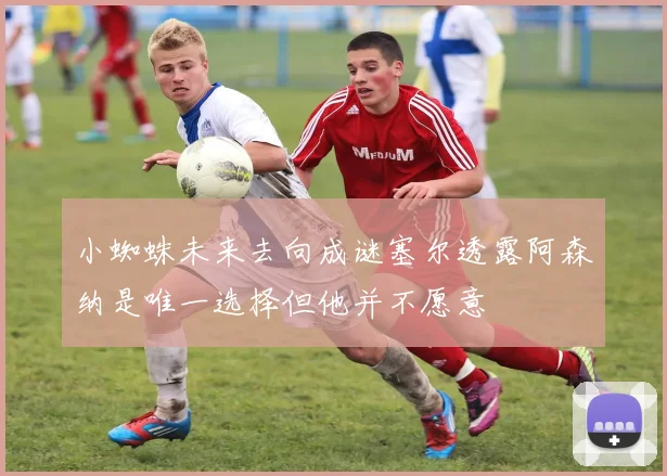 小蜘蛛未来去向成谜塞尔透露阿森纳是唯一选择但他并不愿意