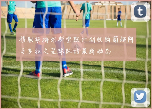 穆勒胡梅尔斯索默计划收购葡超阿马多拉之星球队的最新动态